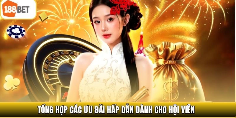 Tổng hợp các ưu đãi hấp dẫn dành cho hội viên 